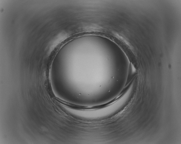 X0000062911261200601181210