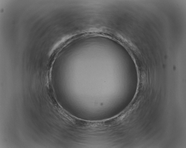 X0000062911262200601181210