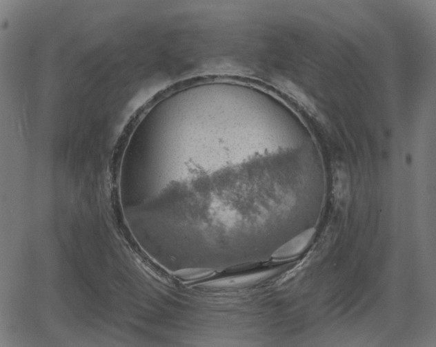 X0000062911264200601181210