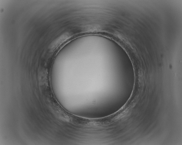 X0000062911265200601181210