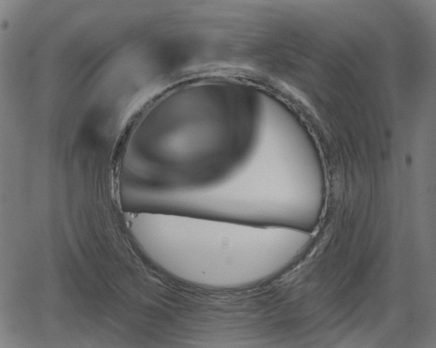 X0000062911267200601181210