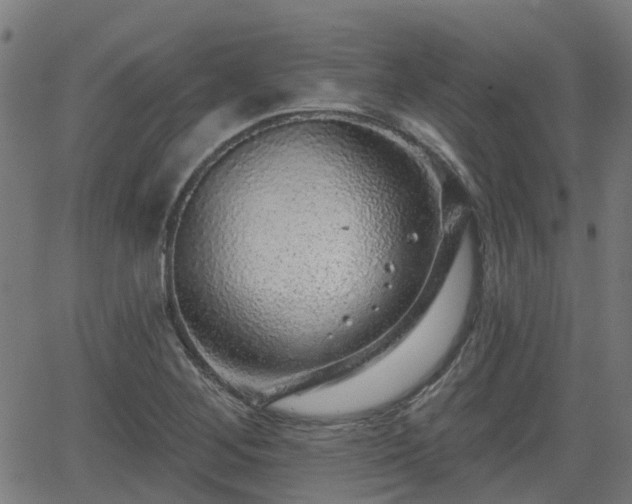 X0000062911268200601181210