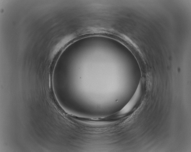 X0000062911269200601181210