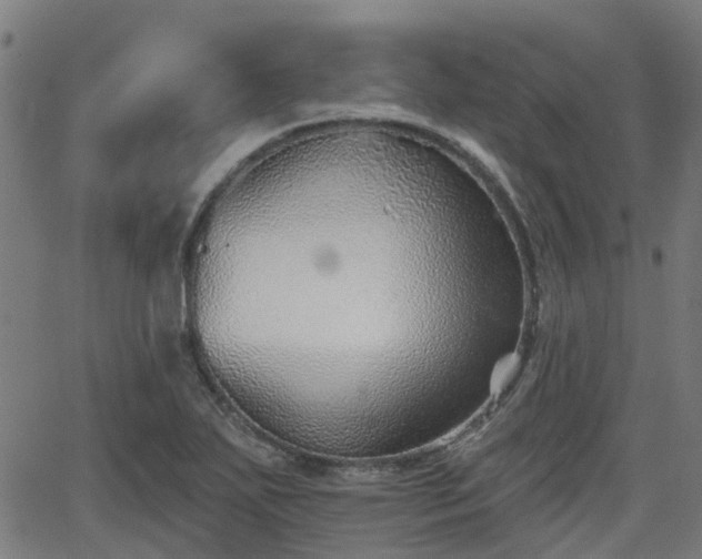 X0000062911271200601181210