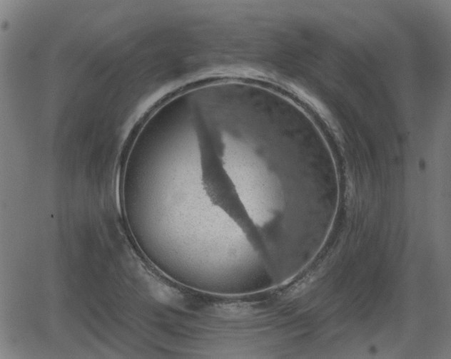 X0000062911272200601181210