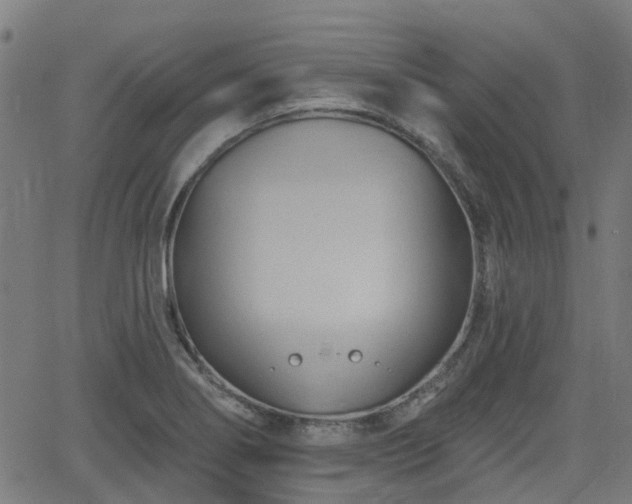 X0000062911274200601181210