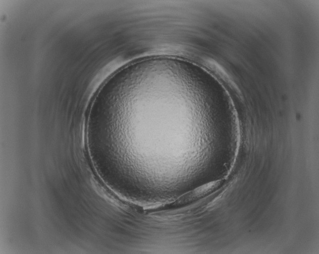 X0000062911276200601181210