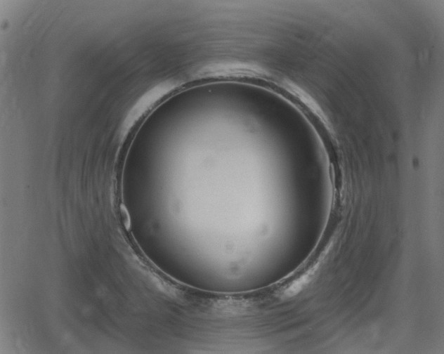 X0000062911277200601181210