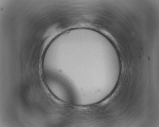 X0000062911278200601181210