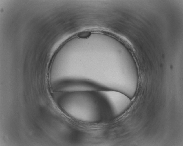 X0000062911279200601181210