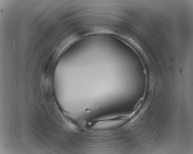 X0000062911281200601181210