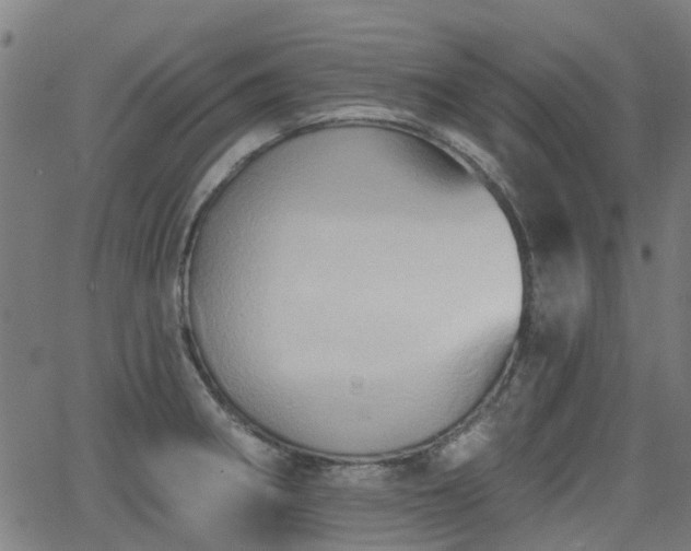 X0000062911282200601181210