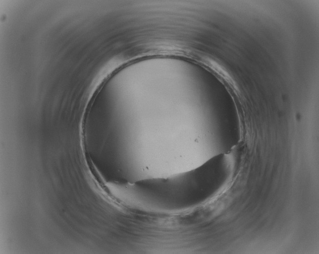 X0000062911283200601181210