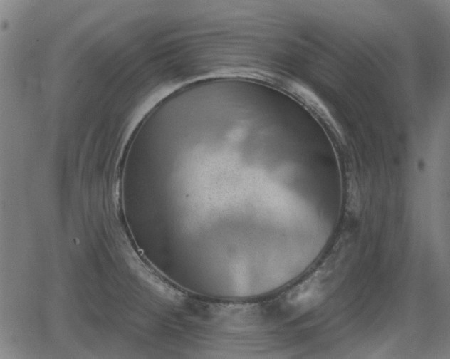 X0000062911284200601181210