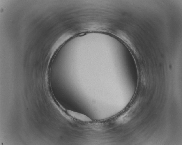 X0000062911285200601181210