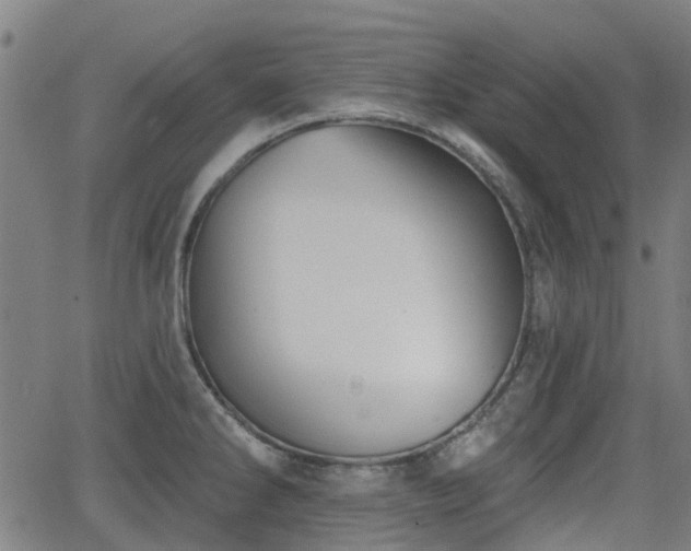 X0000062911286200601181210