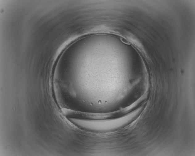 X0000062911288200601181210