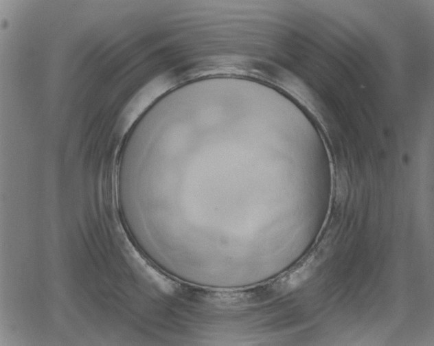 X0000062911290200601181210