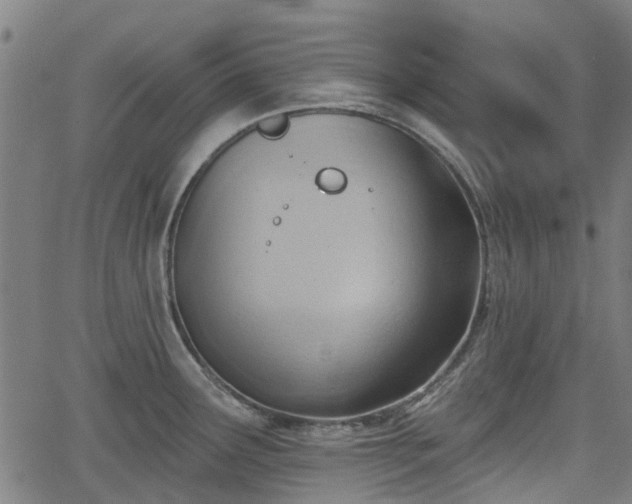 X0000062911291200601181210