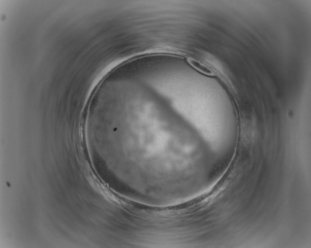 X0000062911292200601181210