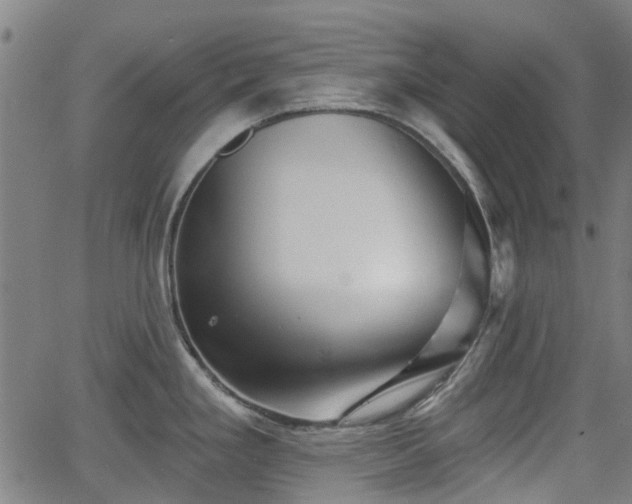 X0000062911293200601181210