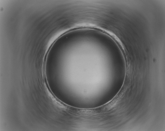 X0000062911295200601181210