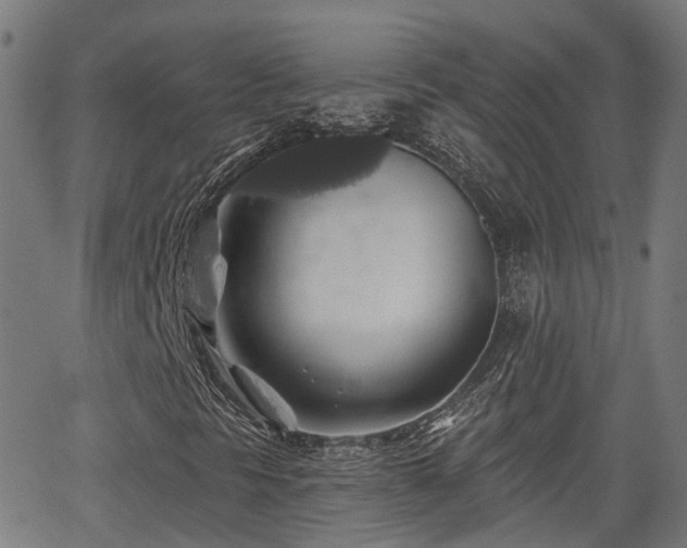 X0000062911297200601181209