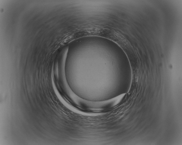 X0000062911298200601181209