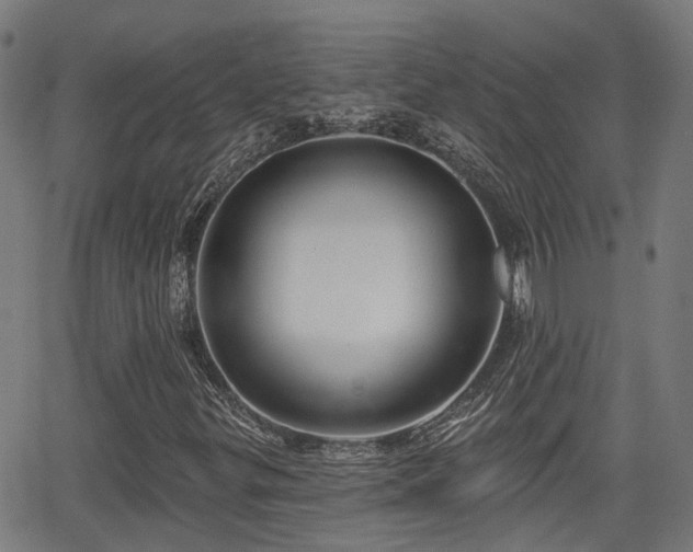 X0000062911299200601181209