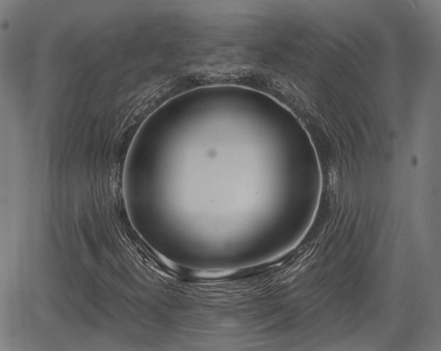 X0000062911300200601181209