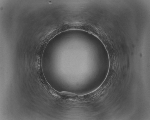 X0000062911301200601181209