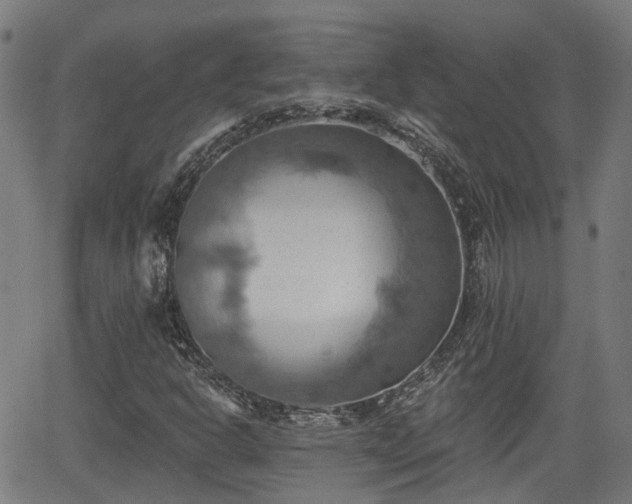 X0000062911302200601181209