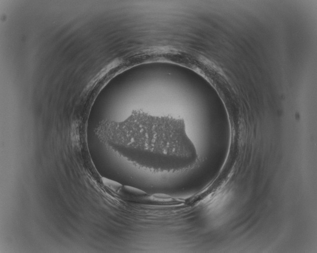 X0000062911305200601181209