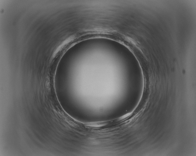 X0000062911307200601181209