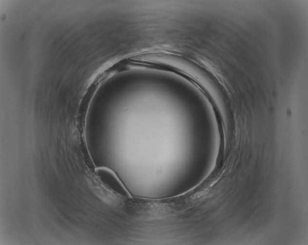 X0000062911308200601181209