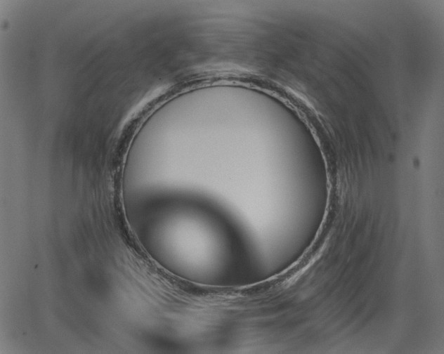 X0000062911309200601181209