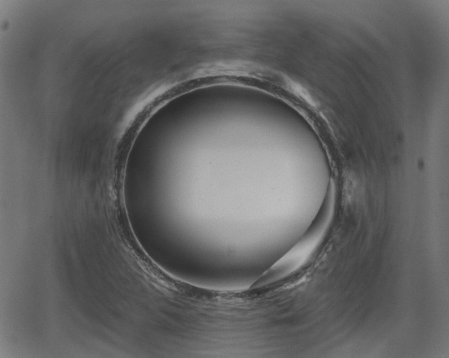 X0000062911312200601181209