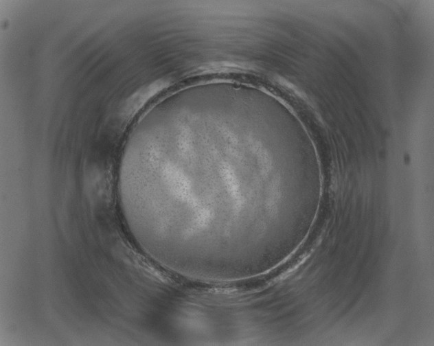 X0000062911313200601181209