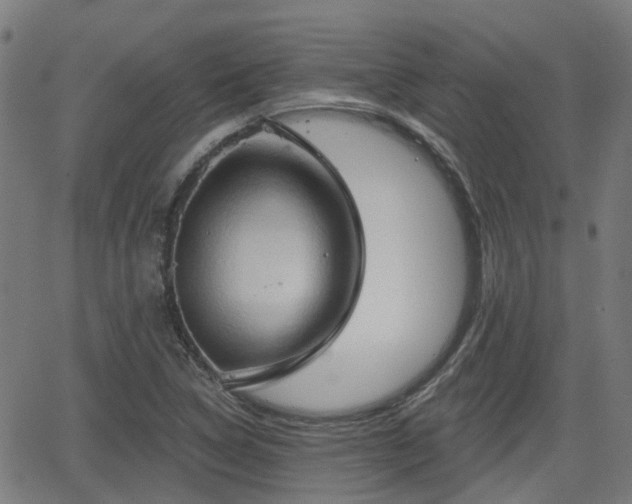 X0000062911314200601181209