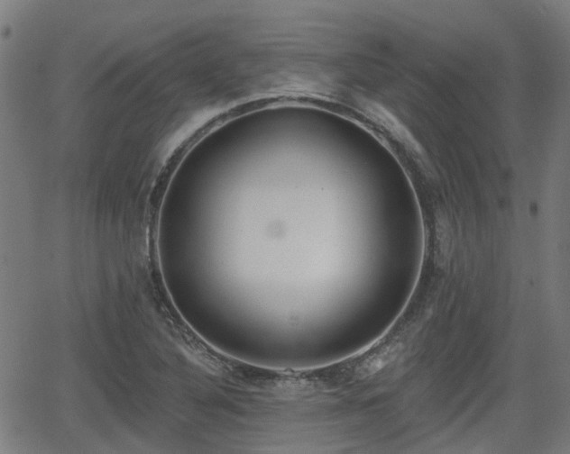 X0000062911316200601181209