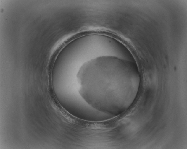 X0000062911319200601181209