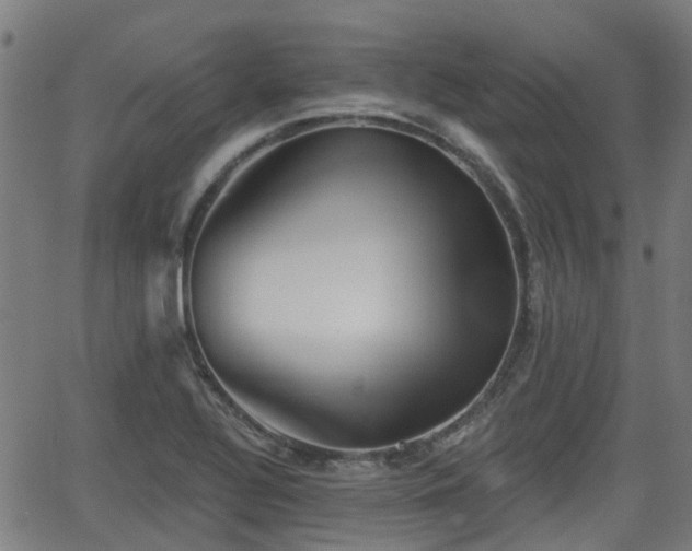 X0000062911320200601181209