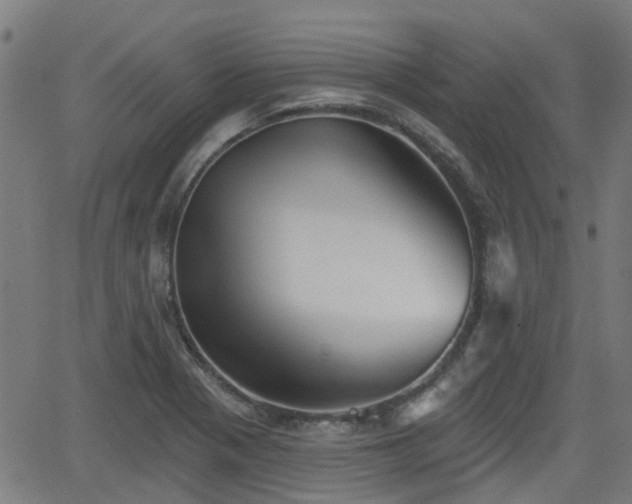 X0000062911321200601181209