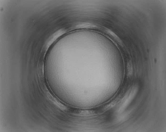 X0000062911322200601181209