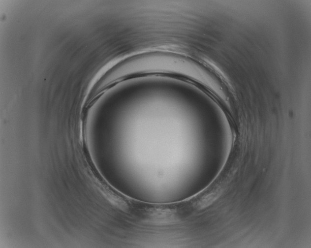 X0000062911324200601181209