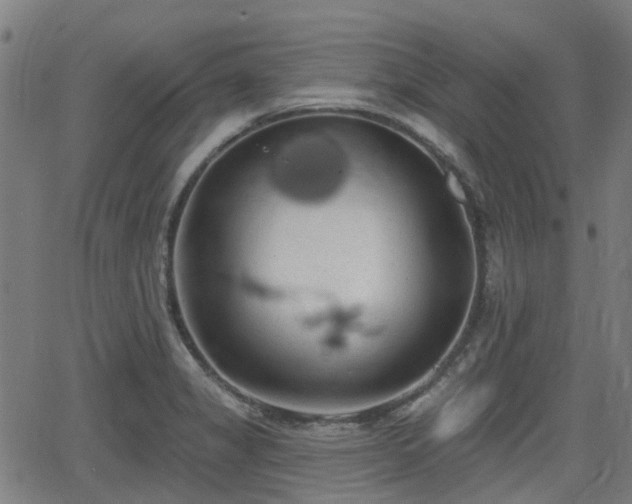 X0000062911325200601181209