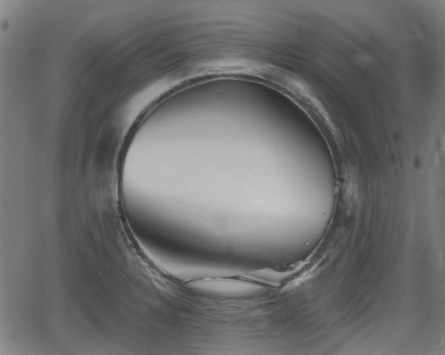 X0000062911328200601181209