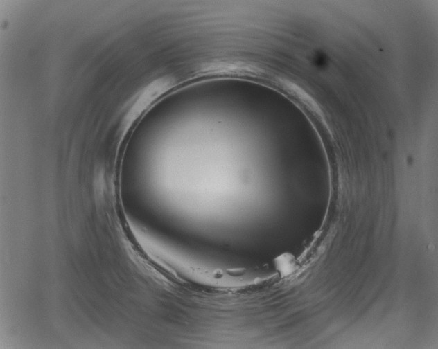 X0000062911330200601181209