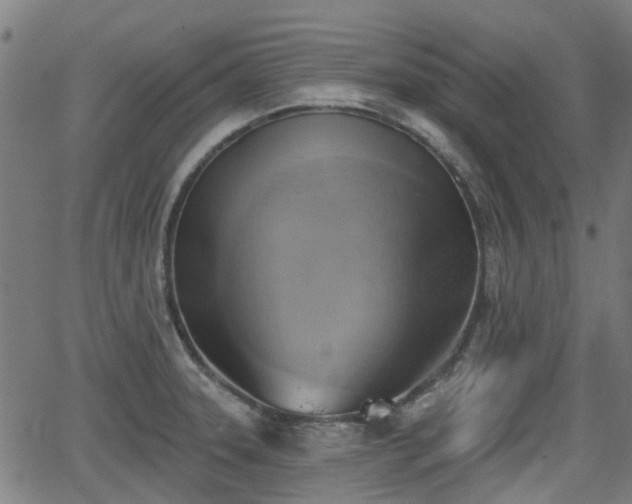 X0000062911331200601181209