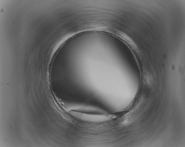 X0000062911332200601181209